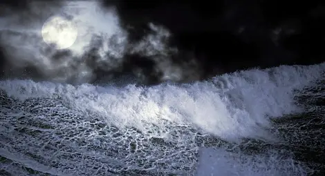 Десетки непознати същества живеят в загадъчната океанска &bdquo;зона на здрача&ldquo;