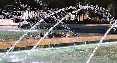 Третият ден от горещниците записа рекорд за последните 35 години в Русе Третият ден от горещниците записа рекорд за последните 35 години в Русе