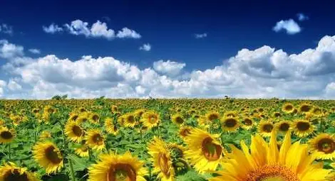 Времето във вторник - слънчево със слаб вятър