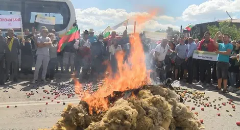 Фермери изсипаха продукцията си на пътя, палиха вълна и сковаха ковчег