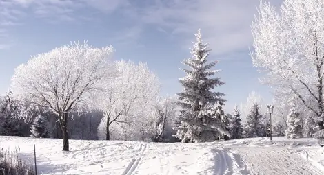НИМХ: Утре ще се задържи облачно, с превалявания от сняг, които ще отслабват