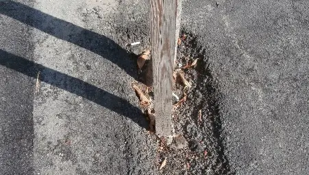 Ремонтът на тротоарите асфалтира дори и кестените по &bdquo;Борисова&ldquo;