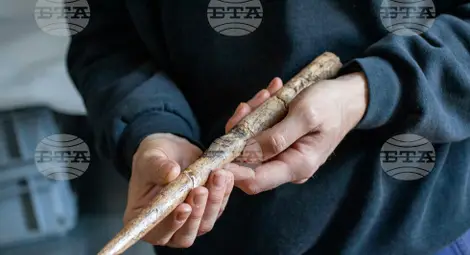 Снимка: БТА Снимка: БТА