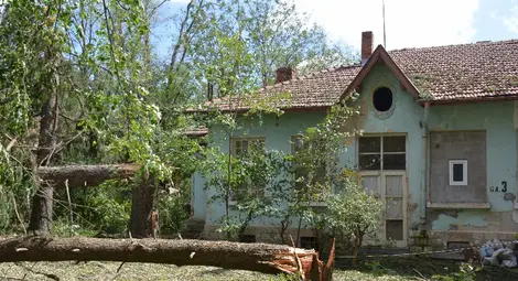 Многогодишни дървета бяха начупени като клечки в Образцов чифлик.                                                   Снимки: Бисер ТОДОРОВ и ОА