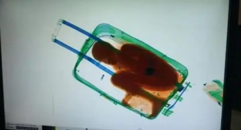 Граничари откриха дете в куфар