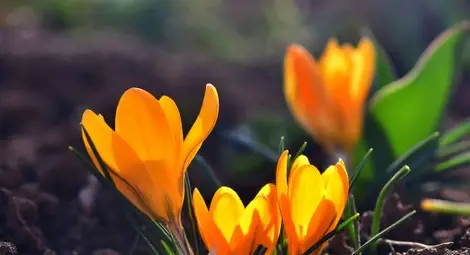 Слънчево и почти без валежи днес, температурите - от минус 3&deg; до 19&deg;