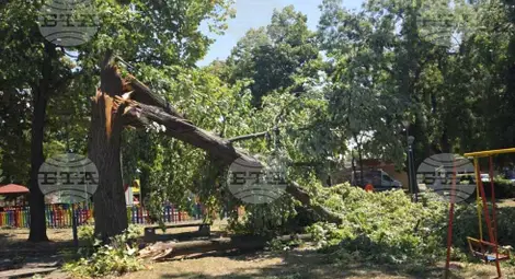 Снимка: БТА