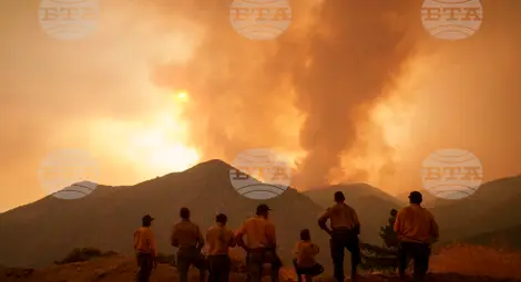 Снимка: БТА Снимка: БТА