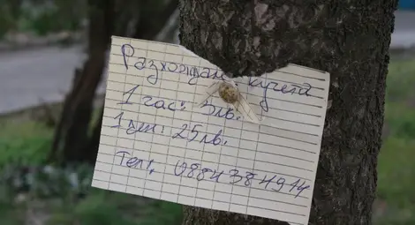 Разхождане на куче - 3 лв. на час