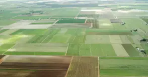 Цените на нивите са на пикови  нива в Североизточна България