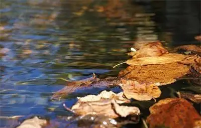 Понижение на температурите се очаква от следващата седмица