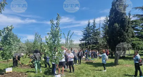 Снимка: БТА