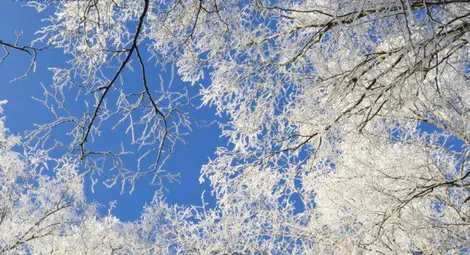 НИМХ: Декември ще започне без валежи, температурите ще бъдат близки и по-висок от обичайните за месеца