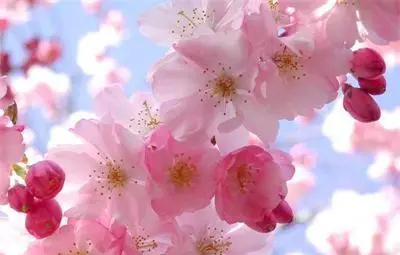 Седмицата започва със слънце и до 22&deg;