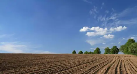 Назначиха трети търг за  държавните ниви в Русенско