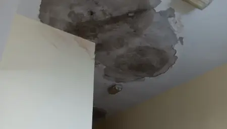 След сигнал на общински съветници от ГЕРБ Община Русе взема спешни мерки за рушащата се сграда на Доходното здание След сигнал на общински съветници от ГЕРБ Община Русе взема спешни мерки за рушащата се сграда на Доходното здание