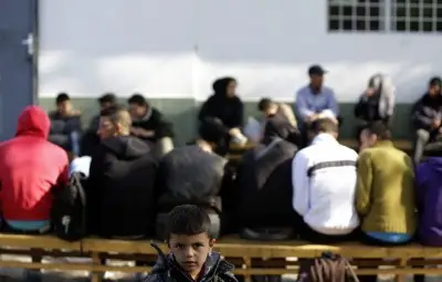 МВР строи 30 км ограда край Елхово 