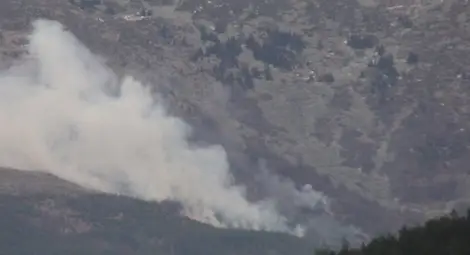 Пожарът на Витоша е овладян