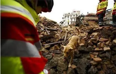 Ако мръдне в Непал, ще мръдне и в България, казва проф. Рангел Гюров Ако мръдне в Непал, ще мръдне и в България, казва проф. Рангел Гюров