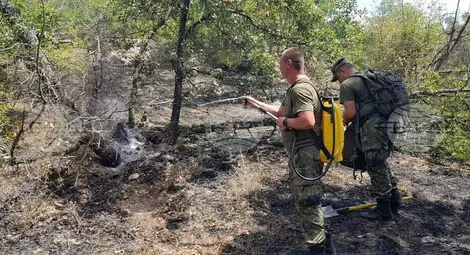 Снимка: БТА Снимка: БТА