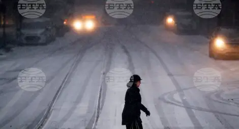 Снимка: БТА Снимка: БТА