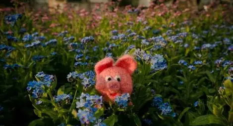 Най-доброто от „През очите на Русе“ влиза в Доходното Най-доброто от „През очите на Русе“ влиза в Доходното