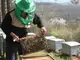 Специалисти разясняват кредитирането на пчелари и превенцията на празния кошер