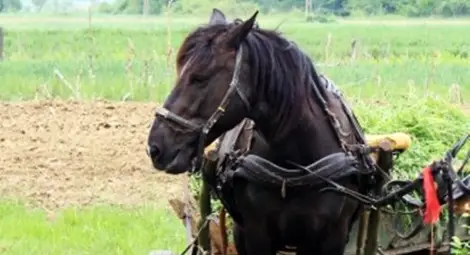 Пенсионер излезе с каруцата си и изчезна