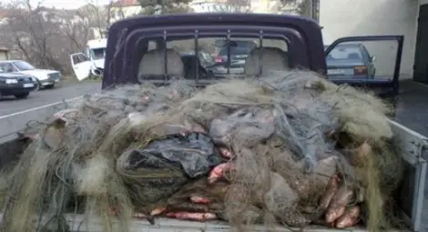 Спипаха бракониер да лови риба, той бяга с джип и пилее улова Спипаха бракониер да лови риба, той бяга с джип и пилее улова