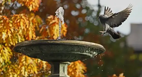 Почти лято, до 26 градуса днес