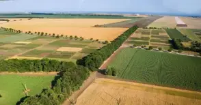 Очакват ръст с 5-10% годишно на цената на земята и рентите