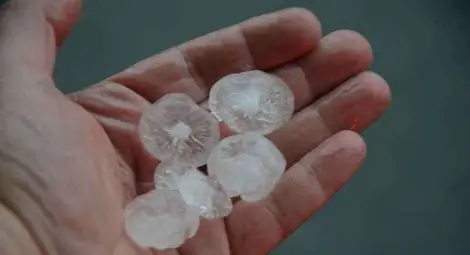 За час Русе се премести на тропика