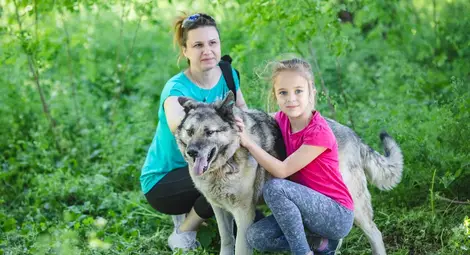 Фотосесия на кучета от приюта  търси домове за четирикраките