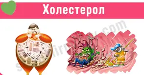 Как да намалим холестерола – без лекарства и хапчета