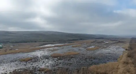 Правят повторен оглед заради залетите близо 5000 декара край Караманово