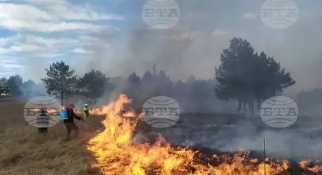 Снимка: БТА Снимка: БТА