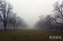 Русе сред областите с жълт код заради мъгла