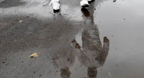 Проф. Огнян Кунчев: Без ваксини епидемията у нас приключва до средата на идната година, с ваксини - до края на тази