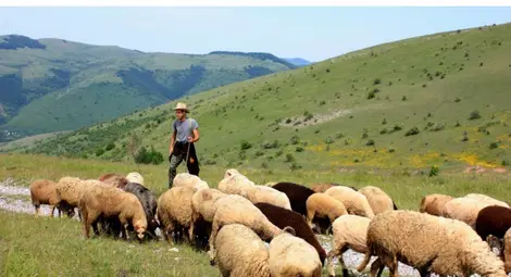 Фонд „Земеделие“ преведе още над 14 милиона лева за агроекология Фонд „Земеделие“ преведе още над 14 милиона лева за агроекология