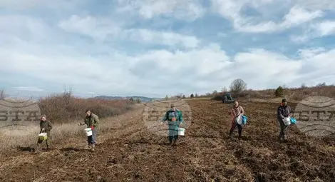 Снимка: БТА Снимка: БТА