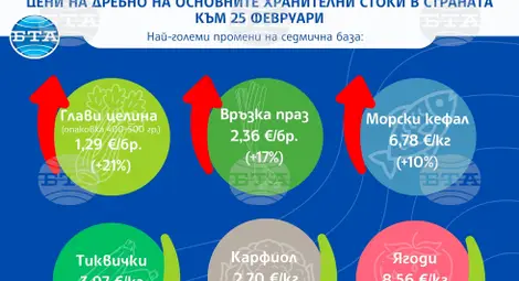 Снимка: БТА