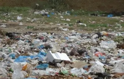 ЕП ограничи използването на найлонови торбички ЕП ограничи използването на найлонови торбички