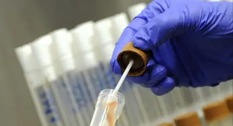 Бактерия се храни с пластмасови бутилки Бактерия се храни с пластмасови бутилки