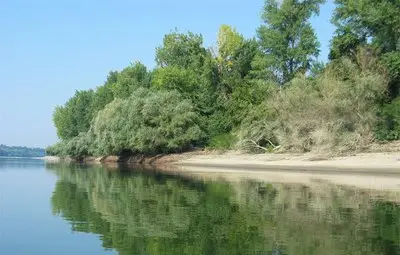 Островите по Дунав - рай сред дивата природа 