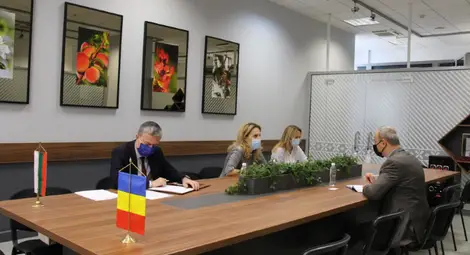 Румънци искат ясни правила за пътуване в България