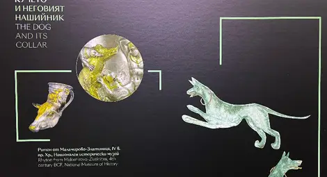 Изложба в Екомузея в Русе води по древните следи на най-добрия приятел на човека