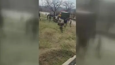 Проверяват всички коне в Селеметя след клип с варварски бой на животно в интернет