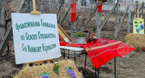 Снимка: БТА Снимка: БТА