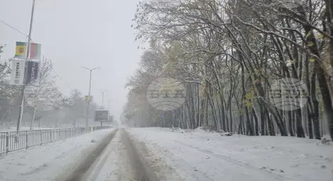 Снимка: БТА