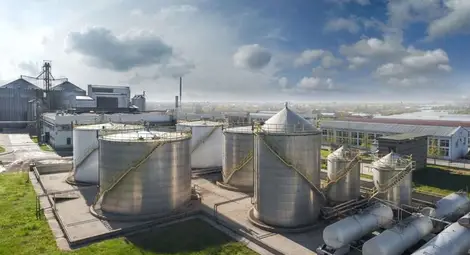 Русенска компания сред 500-те най-големи в Централна и Източна Европа Русенска компания сред 500-те най-големи в Централна и Източна Европа